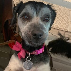 Meet your Posher, Brenda